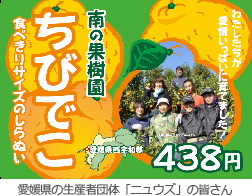 南の果樹園 ちびでこ